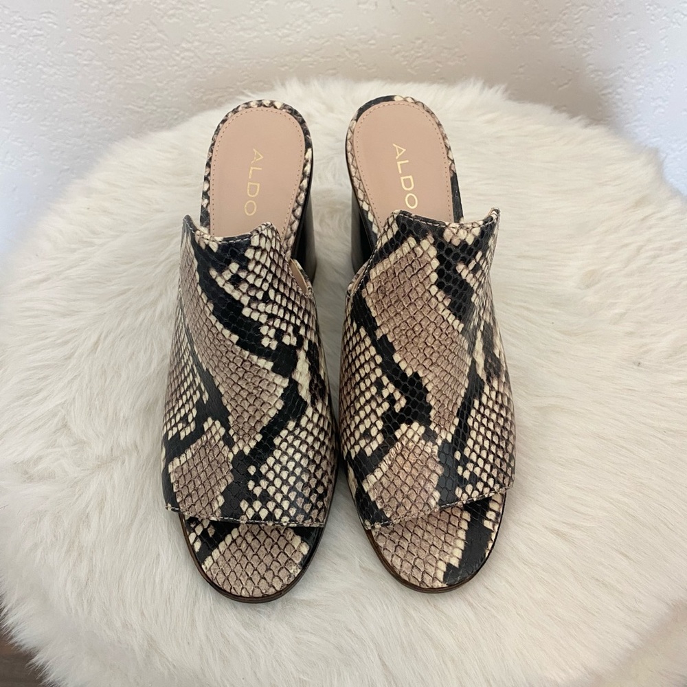 Aldo Shoes